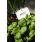 Preview: Elho Pflanzenstift Green Basics S 5er-Set Weiss