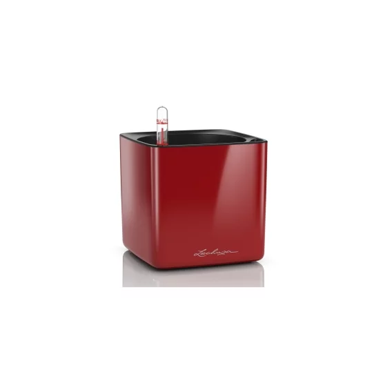 Lechuza CUBE Glossy 14, Scarlet Red High Gloss