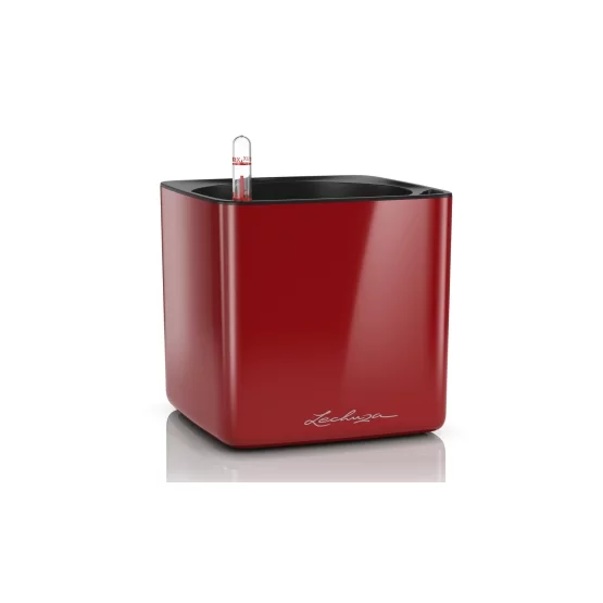 Lechuza CUBE Glossy 16, Scarlet Red High Gloss